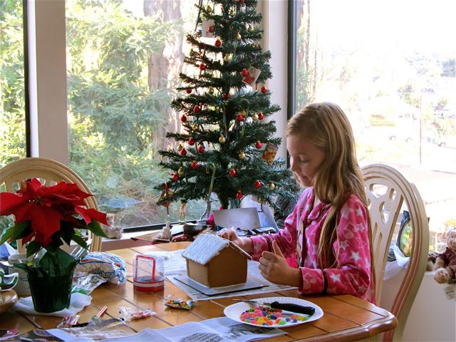 Happy Holidays! Mozart making a Ginger bread house in California