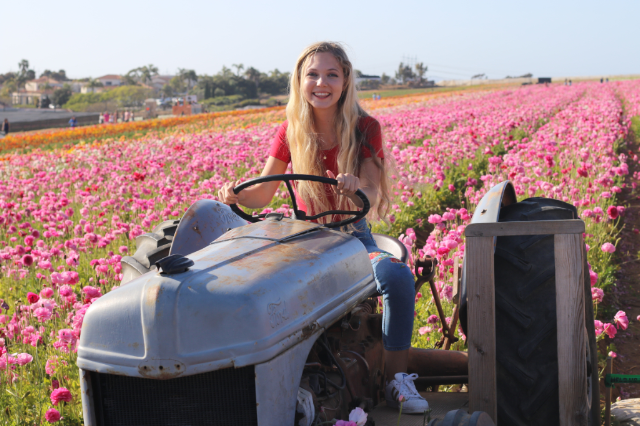 Mozart at Flower Fields Mozart at Flower Fields
