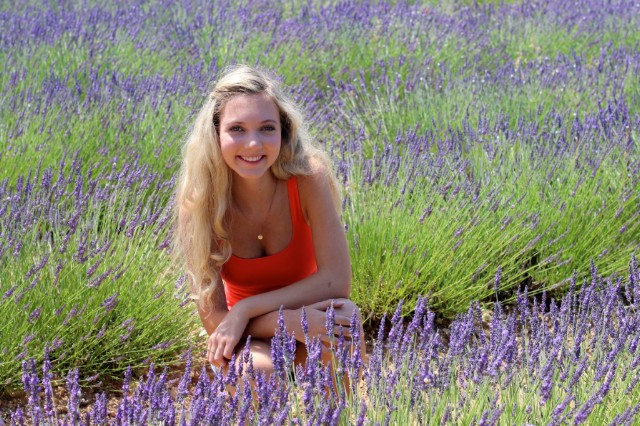 lavender field and pretty blonde girl lavender field and pretty blonde girl