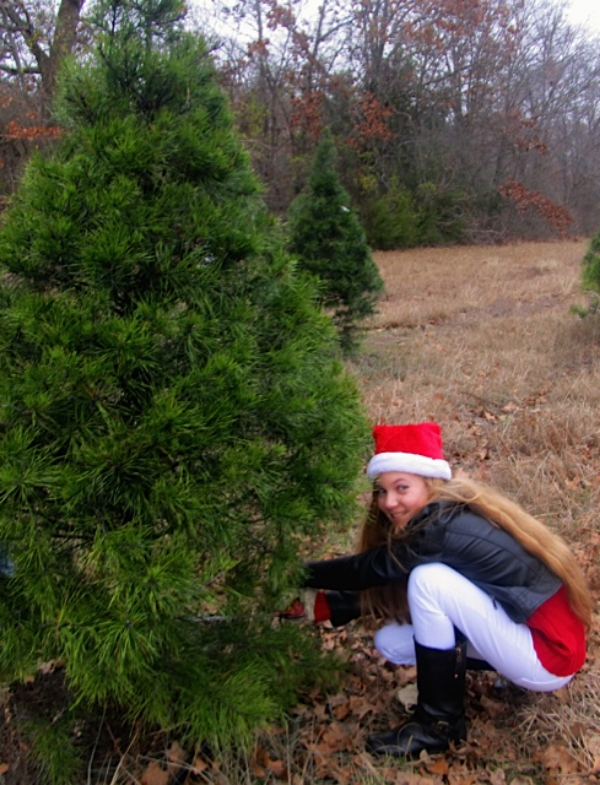 Cut Your Own Christmas Tree! Sustainable Family Fun Tradition Cut Your Own Christmas Tree! Sustainable Family Fun Tradition