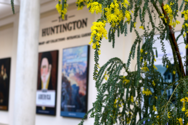 Visiting the Huntington Botanical Gardens in Pasadena