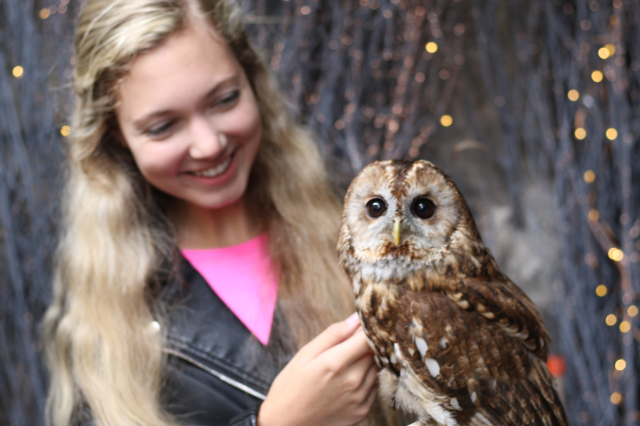 Mozart Dee in Edinburgh holding owl meme Mozart Dee in Edinburgh holding owl meme