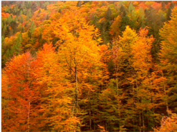 Autumn Travel - Best Destinations!