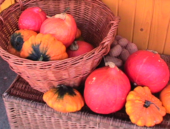 Autumn Travel - Best Destinations! Autumn Travel - Best Destinations!