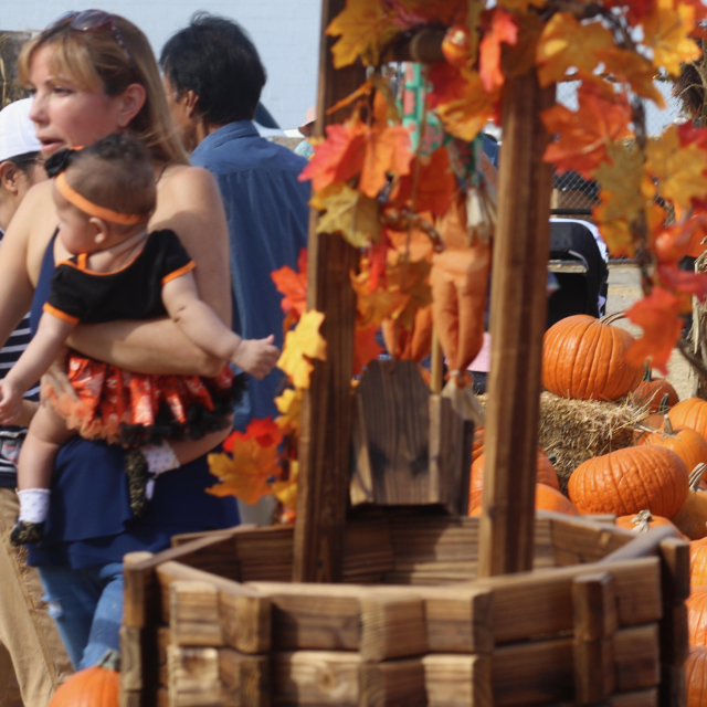 Pumpkins, Candy Apples, Halloween Family Fun! Pumpkins, Candy Apples, Halloween Family Fun!