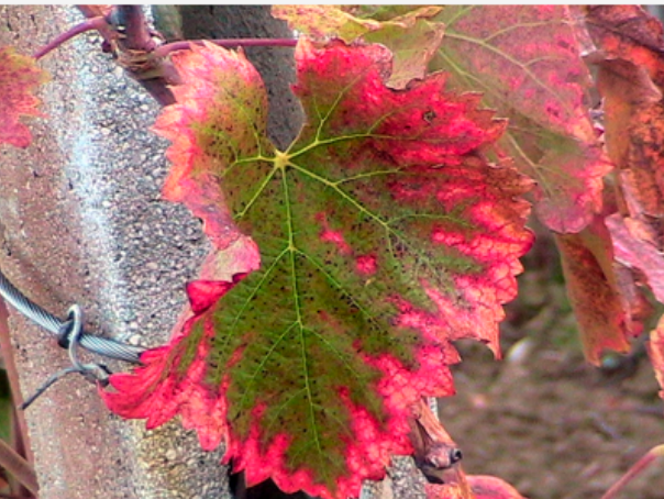 Autumn Travel - Best Destinations! Autumn Travel - Best Destinations!