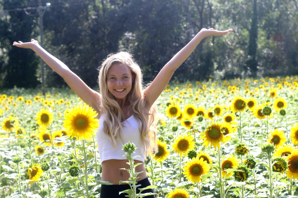 Heavenly Reyna in sunflowers on costa brava Heavenly Reyna in sunflowers on costa brava