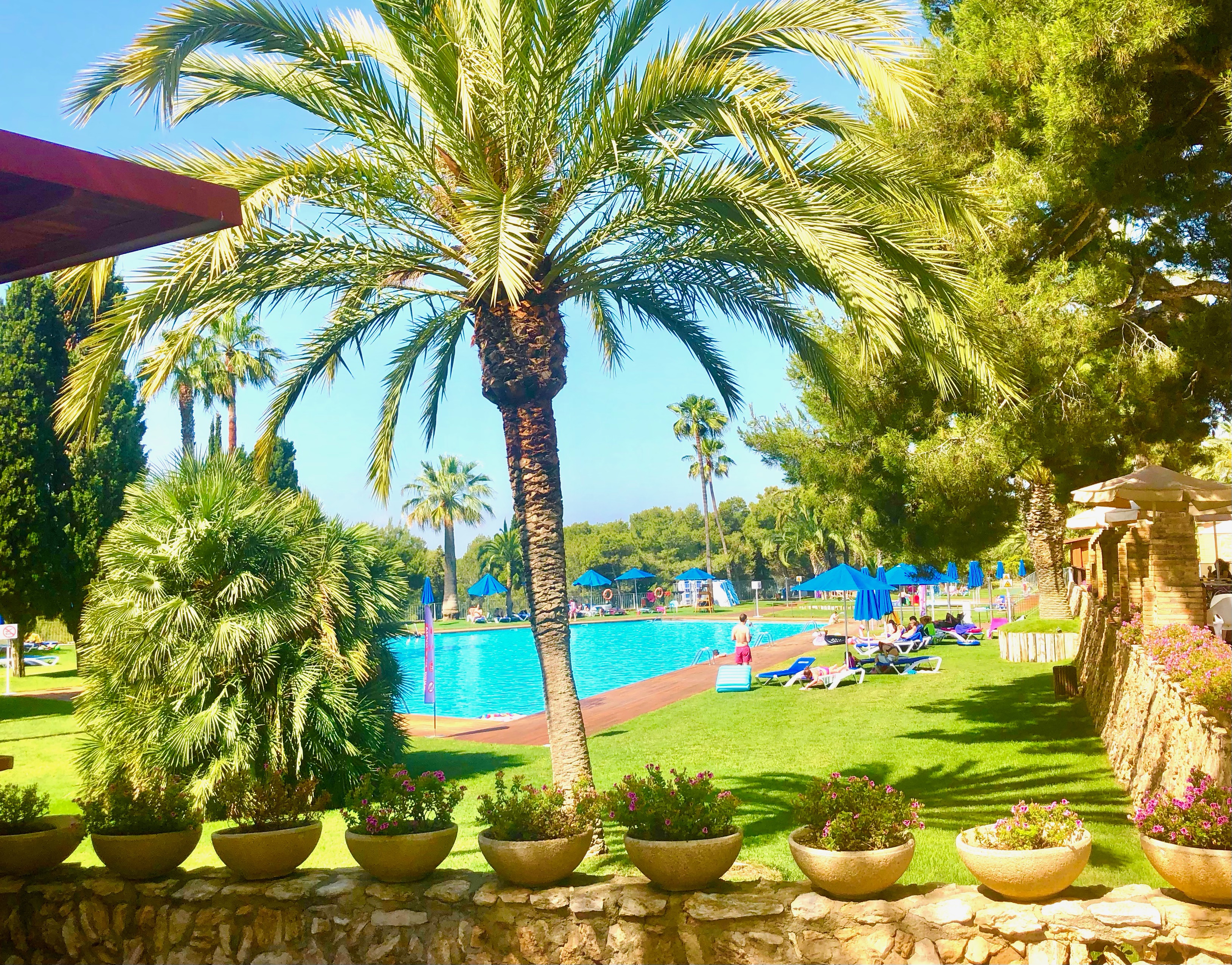 My Weight Journey - Down 135lbs: 61.2 kilos! soultravelers3 barcelona resort & gym My Weight Journey - Down 135lbs: 61.2 kilos! soultravelers3 barcelona resort & gym