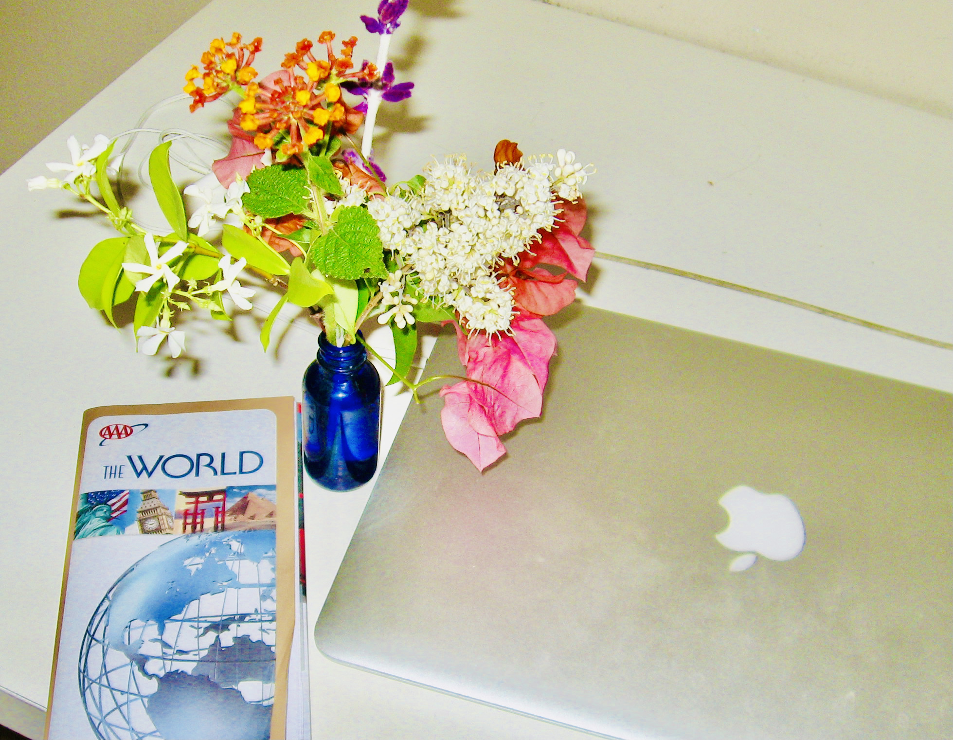 Morning Walks & Beautiful Flower Photos! soultravelers3 world travel dreams & fragrant flowers at desk Morning Walks & Beautiful Flower Photos! soultravelers3 world travel dreams & fragrant flowers at desk