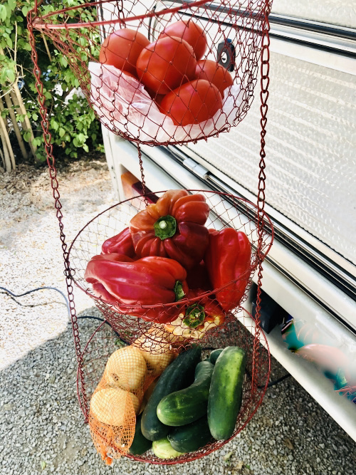 Camping Spain - Simple Pleasures storing vegetables at campsites Camping Spain - Simple Pleasures storing vegetables at campsites