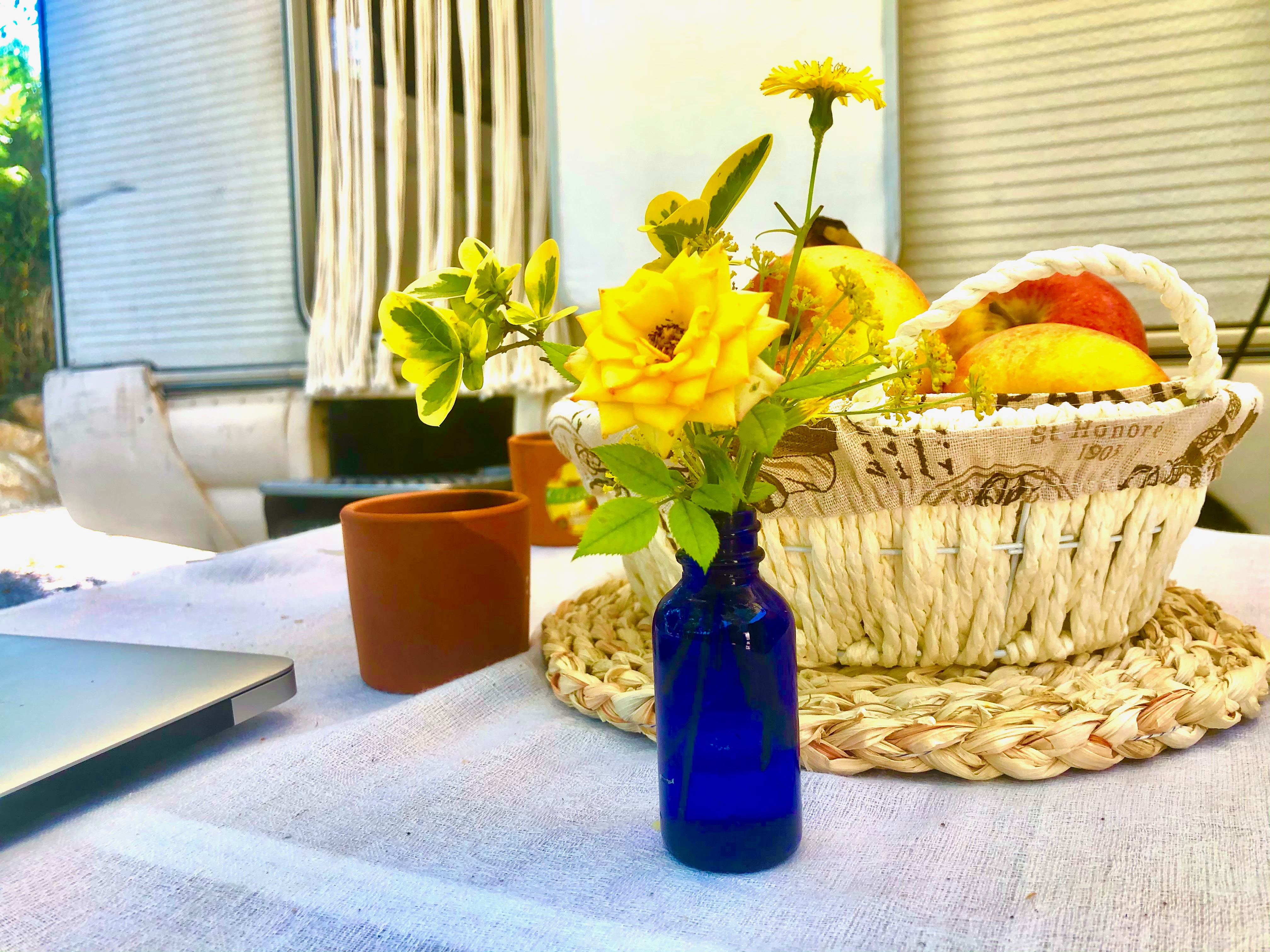 Camping Spain - Simple Pleasures soultravelers3 remote work flowers and fruit beauty Camping Spain - Simple Pleasures soultravelers3 remote work flowers and fruit beauty