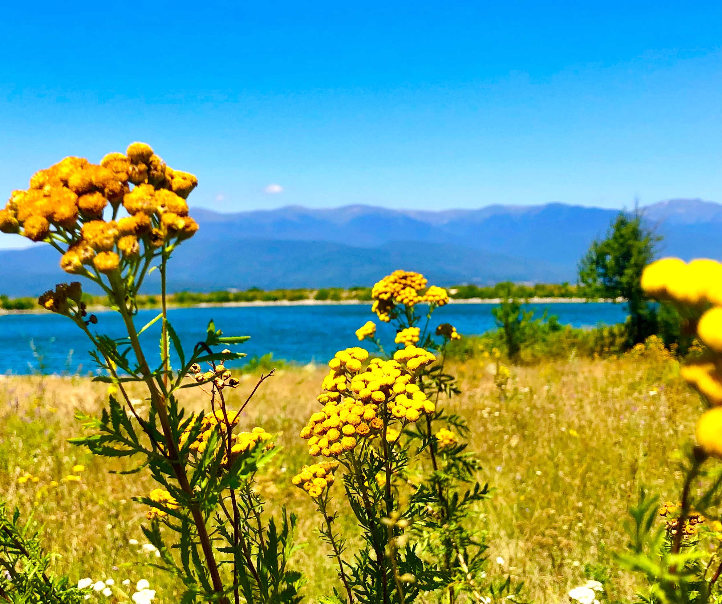 Weight Loss Journey Update! soultravelers3 hiking for exercise fitness with travel Weight Loss Journey Update! soultravelers3 hiking for exercise fitness with travel