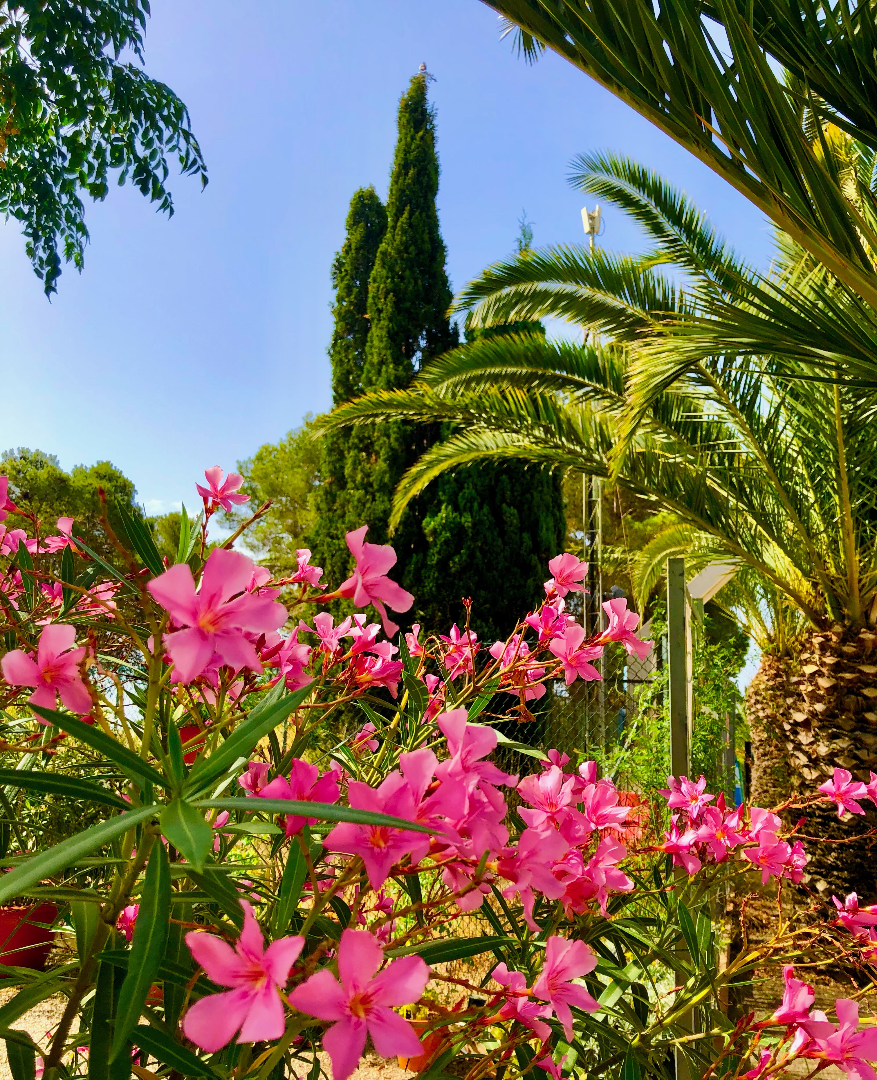 Camping Spain Simple Pleasures soultravelers3 camping barcelona resort Camping Spain Simple Pleasures soultravelers3 camping barcelona resort