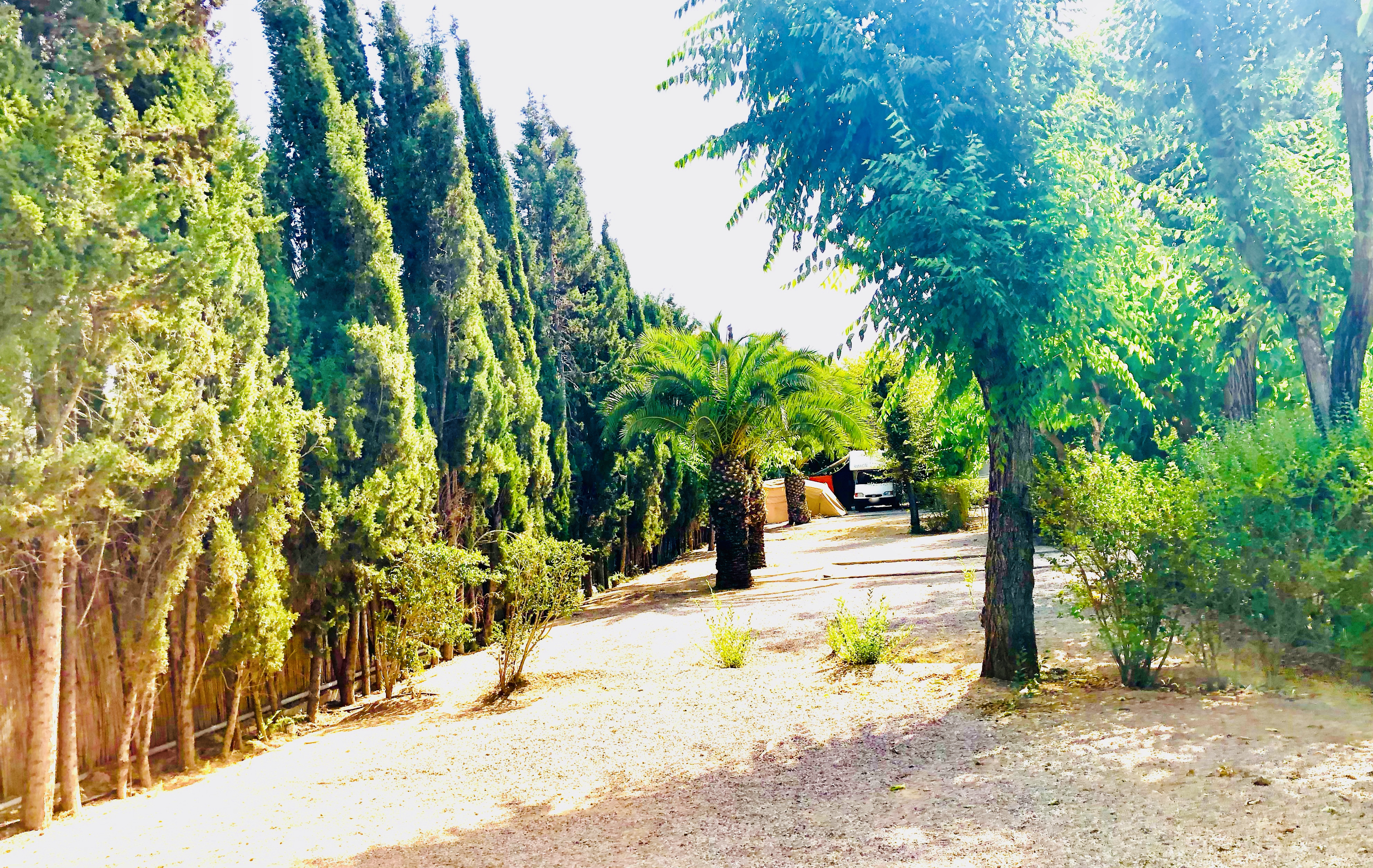 Camping Spain Simple Pleasures soultravelers3 isolated campsite barcelona high season Camping Spain Simple Pleasures soultravelers3 isolated campsite barcelona high season