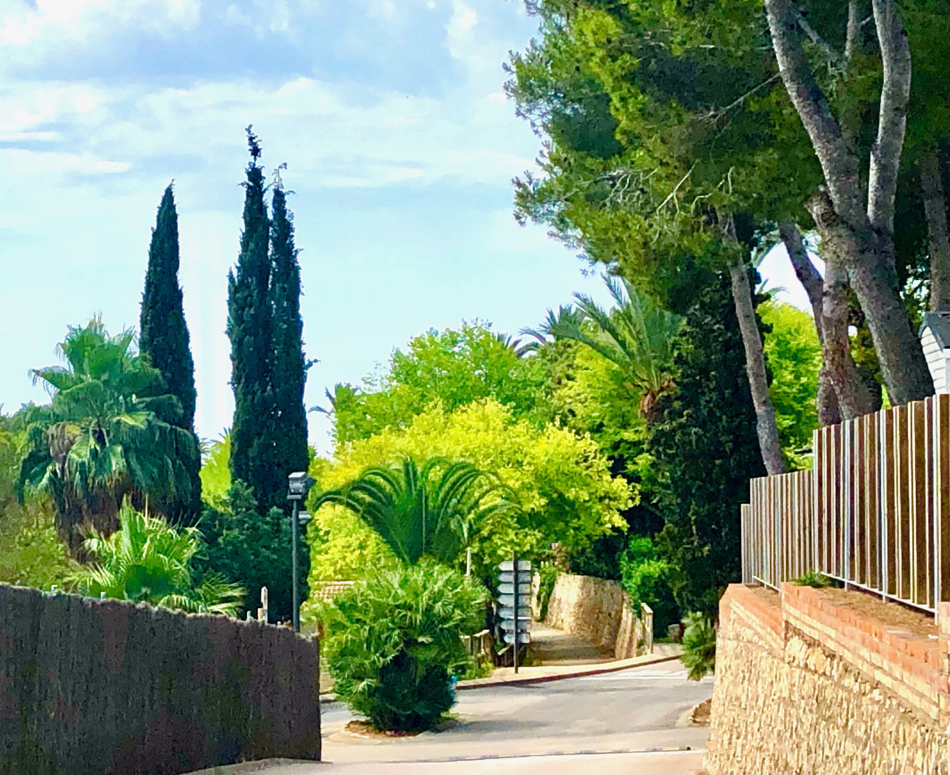 Camping Spain Simple Pleasures soultravelers3 camping barcelona trees walk Camping Spain Simple Pleasures soultravelers3 camping barcelona trees walk