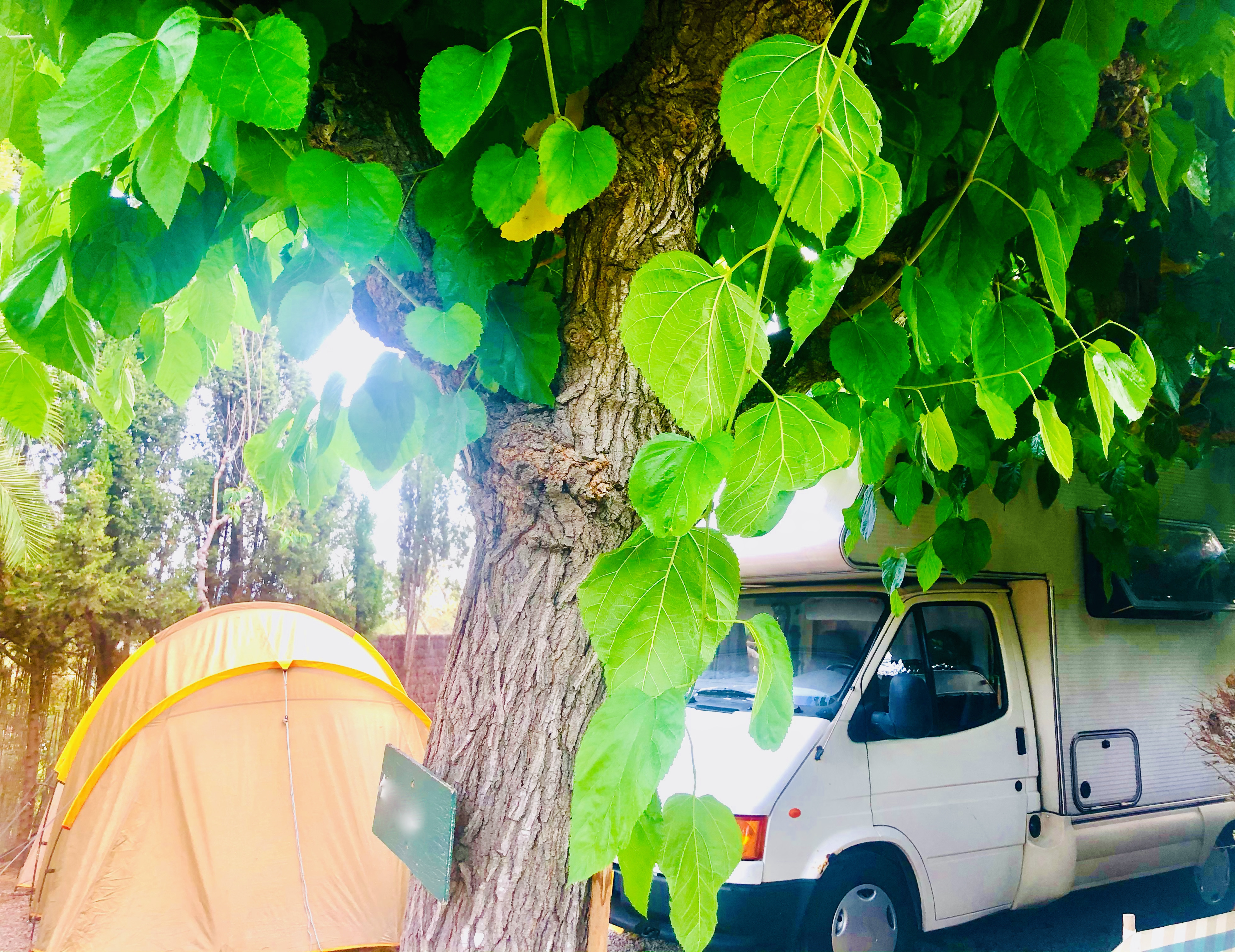 Camping Spain Simple Pleasures campsite barcelona soultravelers3 trees Camping Spain Simple Pleasures campsite barcelona soultravelers3 trees