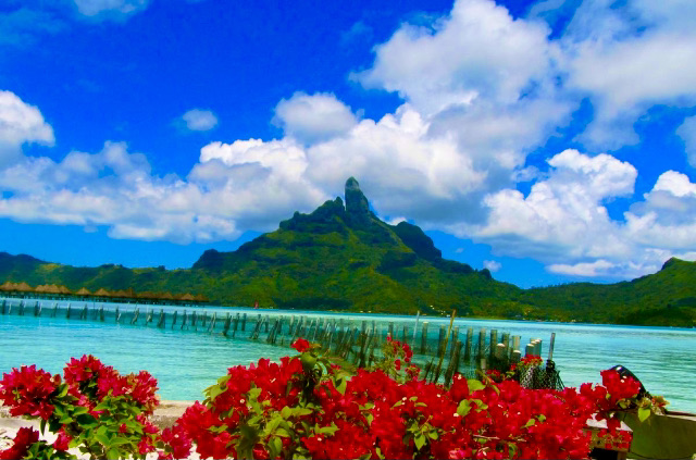 Best Warm Winter Digital Nomad Destinations!  Tahiti bora bora remote work