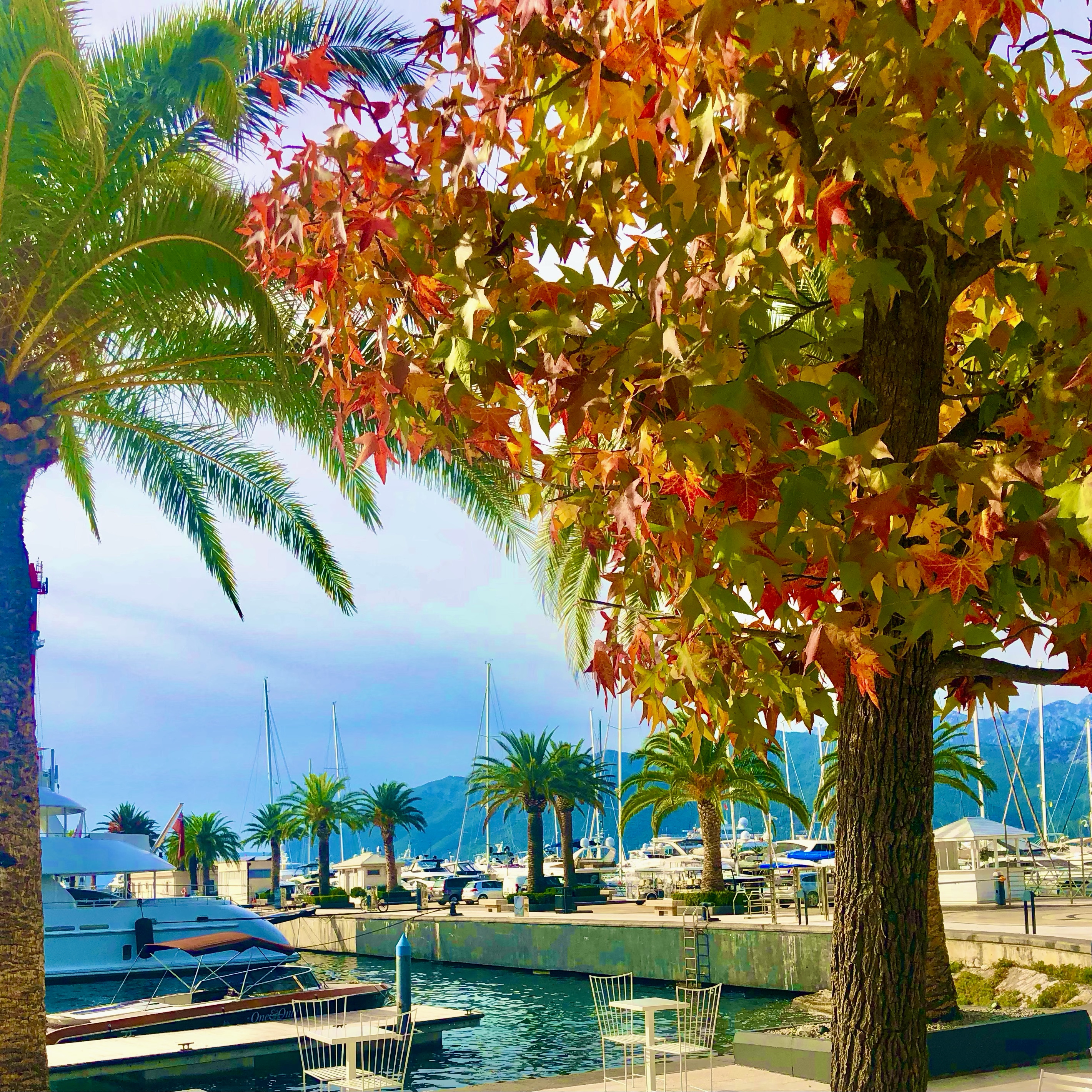 Awesome Fall Colors in Europe! from alps to Montenegro Awesome Fall Colors in Europe! from alps to Montenegro