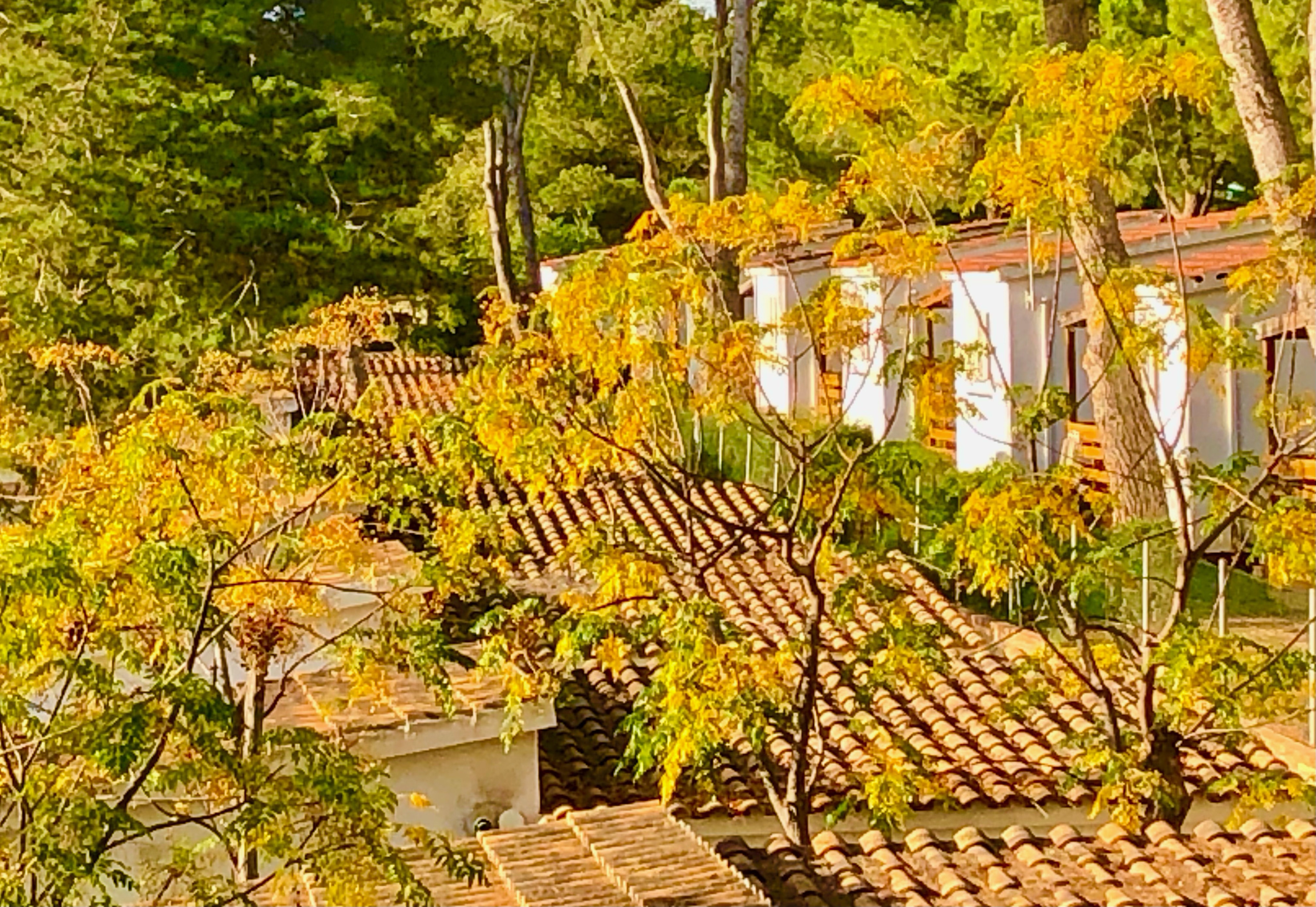 Awesome Fall Colors in Europe! tile roofs and fall leaves spain Awesome Fall Colors in Europe! tile roofs and fall leaves spain