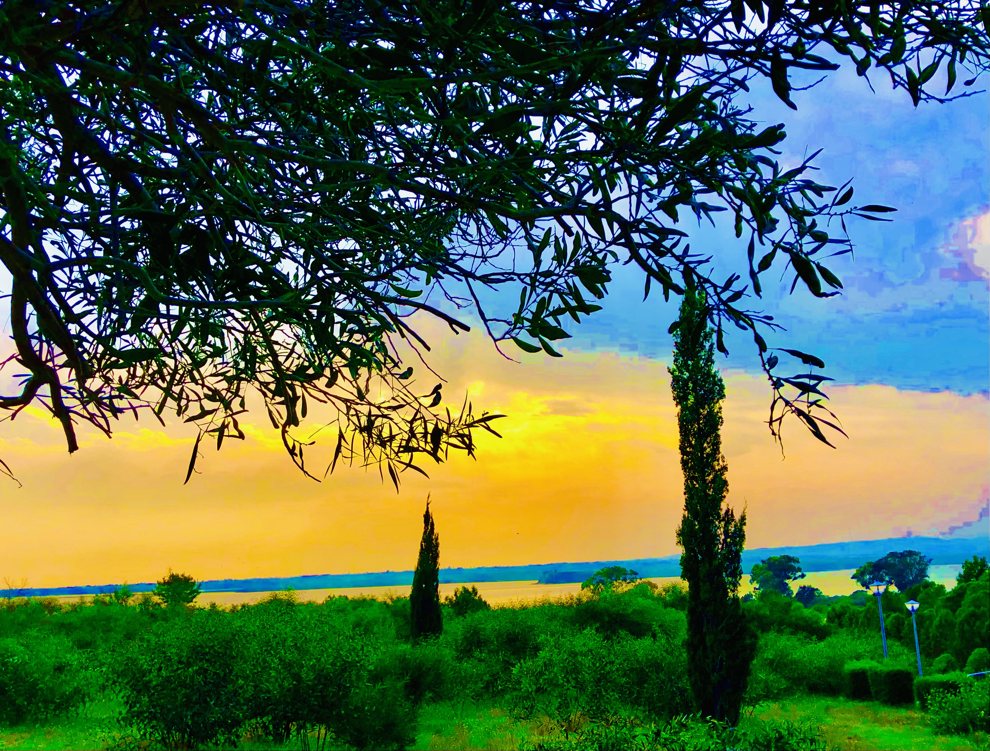 Larnaka travel flamincos The Patticheio Park salt lake 
