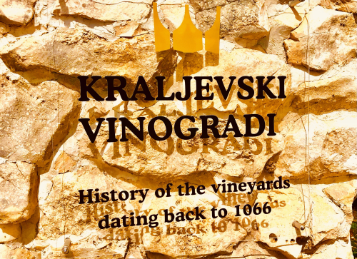 Best Ocean View Vineyard in Europe! 7000 year old vineyard Kraljevski Vinogradi (Royal Vineyards) Best Ocean View Vineyard in Europe! 7000 year old vineyard Kraljevski Vinogradi (Royal Vineyards)