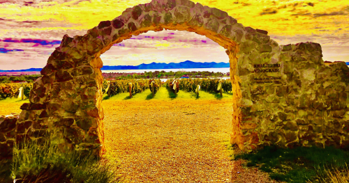 Bibinje Zadar Croatia 10 Best Travel Tips  gorgeous ocean view winery winetasting 