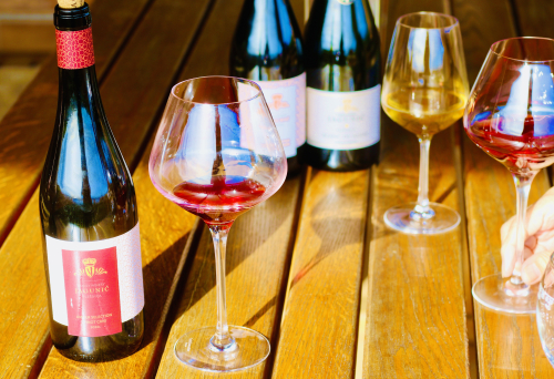 Fab Wine Tasting Vineyard Near Zagreb best wines croatia Fab Wine Tasting Vineyard Near Zagreb best wines croatia