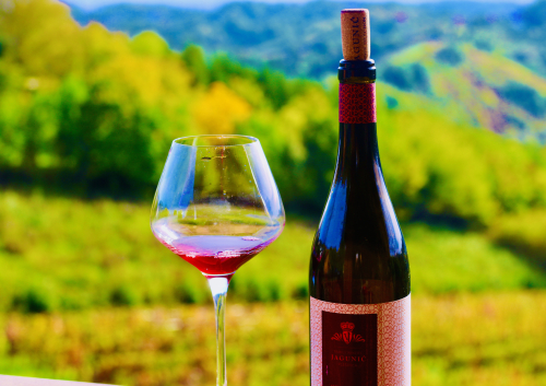 Fab Wine Tasting Vineyard Near Zagreb wow delicious wines and food at harvest time Fab Wine Tasting Vineyard Near Zagreb wow delicious wines and food at harvest time