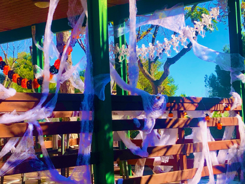 Fall Color & Halloween in Barcelona! sunshine blue skies decorations autumn spooky fun celebrations 