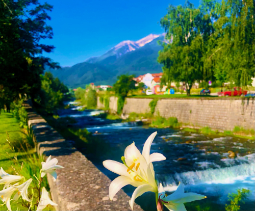 Where is the Best Hot Springs in Bansko? Beautiful cheap luxury mountains Where is the Best Hot Springs in Bansko? Beautiful cheap luxury mountains