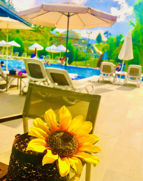 Where is the Best Hot Springs in Bansko? beauty luxury healing fun flower pools Where is the Best Hot Springs in Bansko? beauty luxury healing fun flower pools