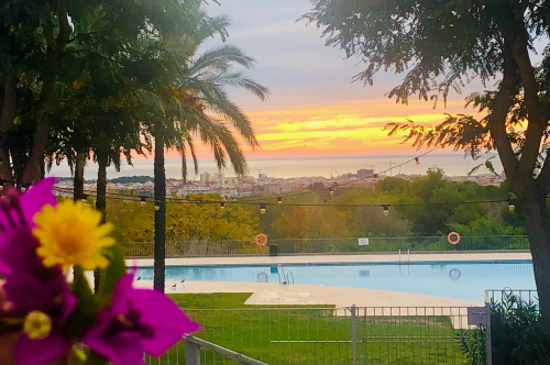 How to Handle Injury Illness Covid While Traveling Abroad! sunrise and sunset flower walks nature healing vibes sea views How to Handle Injury Illness Covid While Traveling Abroad! sunrise and sunset flower walks nature healing vibes sea views