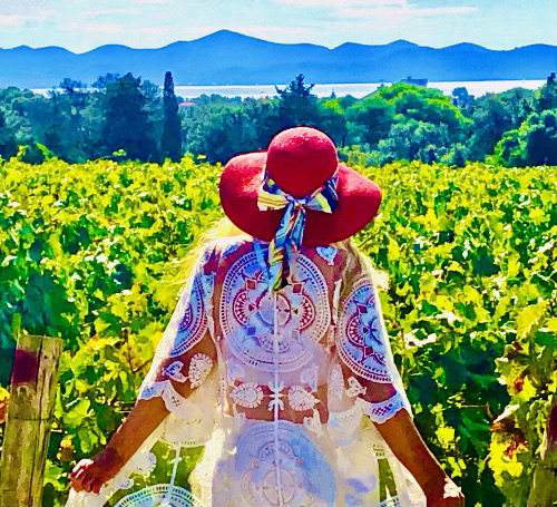 Best Ocean View Vineyard in Europe! croatia wine tasting dalmation coast Best Ocean View Vineyard in Europe! croatia wine tasting dalmation coast