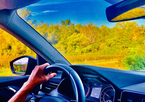 Best Ocean View Vineyard in Europe! road trip croatia tips Best Ocean View Vineyard in Europe! road trip croatia tips
