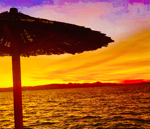 Best Ocean View Vineyard in Europe! beach zadar bibinje dalmation coast sunsets Best Ocean View Vineyard in Europe! beach zadar bibinje dalmation coast sunsets
