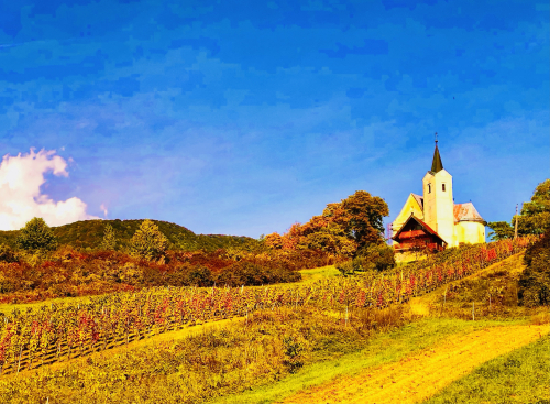 Fab Wine Tasting Vineyard Near Zagreb sparkling wine trail autumn color Fab Wine Tasting Vineyard Near Zagreb sparkling wine trail autumn color