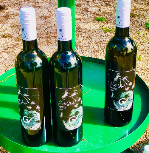 Best Ocean View Vineyard in Europe! Dalmatia Croatia best wines Best Ocean View Vineyard in Europe! Dalmatia Croatia best wines