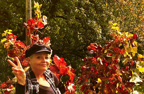 Fab Wine Tasting Vineyard Near Zagreb fall color wine harvest croatia Fab Wine Tasting Vineyard Near Zagreb fall color wine harvest croatia