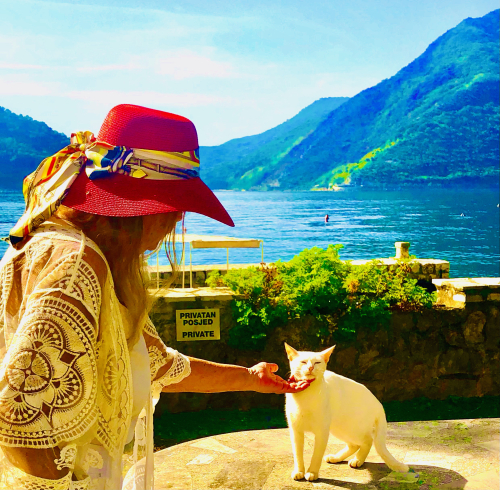 Cute Kittens & Cats You Meet Traveling! soultravelers3 Jeanne Dee with white cat in Kotor Montenegro Cute Kittens & Cats You Meet Traveling! soultravelers3 Jeanne Dee with white cat in Kotor Montenegro