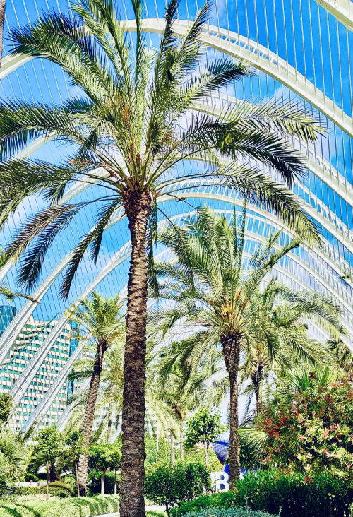 Valencia City of Arts and Sciences Outside Tips + Free Parking! beautiful budget travel L'Umbracle Sculpture Garden Valencia City of Arts and Sciences Outside Tips + Free Parking! beautiful budget travel L'Umbracle Sculpture Garden