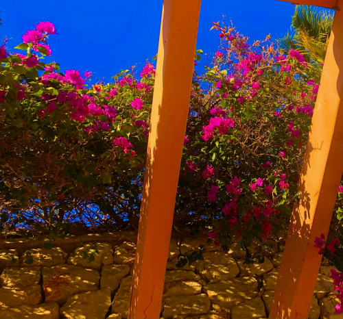 Best Tips! Americans Buying Home in Spain! flowes stone sky beach palm trees Best Tips! Americans Buying Home in Spain! flowes stone sky beach palm trees