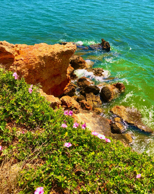 OMG! Spain's Amazing Delta Oyster Festival & Salazar's Lunch! RED CLIFF BEACHES FLOWERS OMG! Spain's Amazing Delta Oyster Festival & Salazar's Lunch! RED CLIFF BEACHES FLOWERS