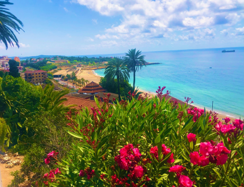 Tortosa Tarragona & Reus! Costa Daurada Gems! beach views Tortosa walkable ancient city Tortosa Tarragona & Reus! Costa Daurada Gems! beach views Tortosa walkable ancient city