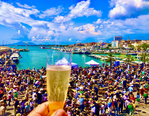 OMG! Spain's Amazing Delta Oyster Festival & Salazar's Lunch! cava dancing salsa joy OMG! Spain's Amazing Delta Oyster Festival & Salazar's Lunch! cava dancing salsa joy