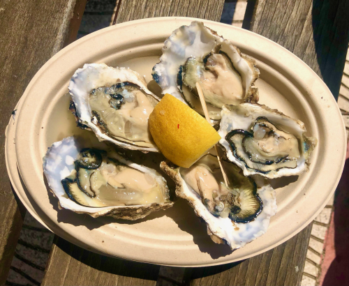 OMG! Spain's Amazing Delta Oyster Festival & Salazar's Lunch! yum! So good! OMG! Spain's Amazing Delta Oyster Festival & Salazar's Lunch! yum! So good!