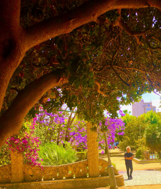 Tortosa Tarragona & Reus! Costa Daurada Gems! park gaudi inspiration tortosa Tortosa Tarragona & Reus! Costa Daurada Gems! park gaudi inspiration tortosa