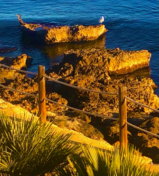 Best Tips! Americans Buying Home in Spain! birds nature beaches hiking Best Tips! Americans Buying Home in Spain! birds nature beaches hiking