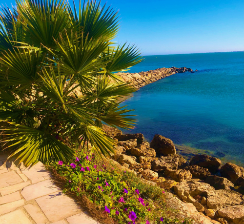 Best Tips! Americans Buying Home in Spain! sea walk flowers nature happiness Best Tips! Americans Buying Home in Spain! sea walk flowers nature happiness
