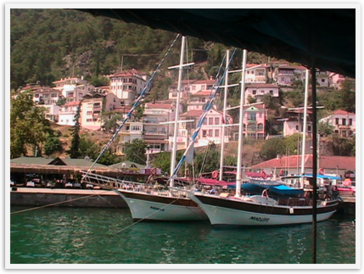 Img_0066 Img_0066