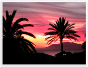 Img_0069 Img_0069